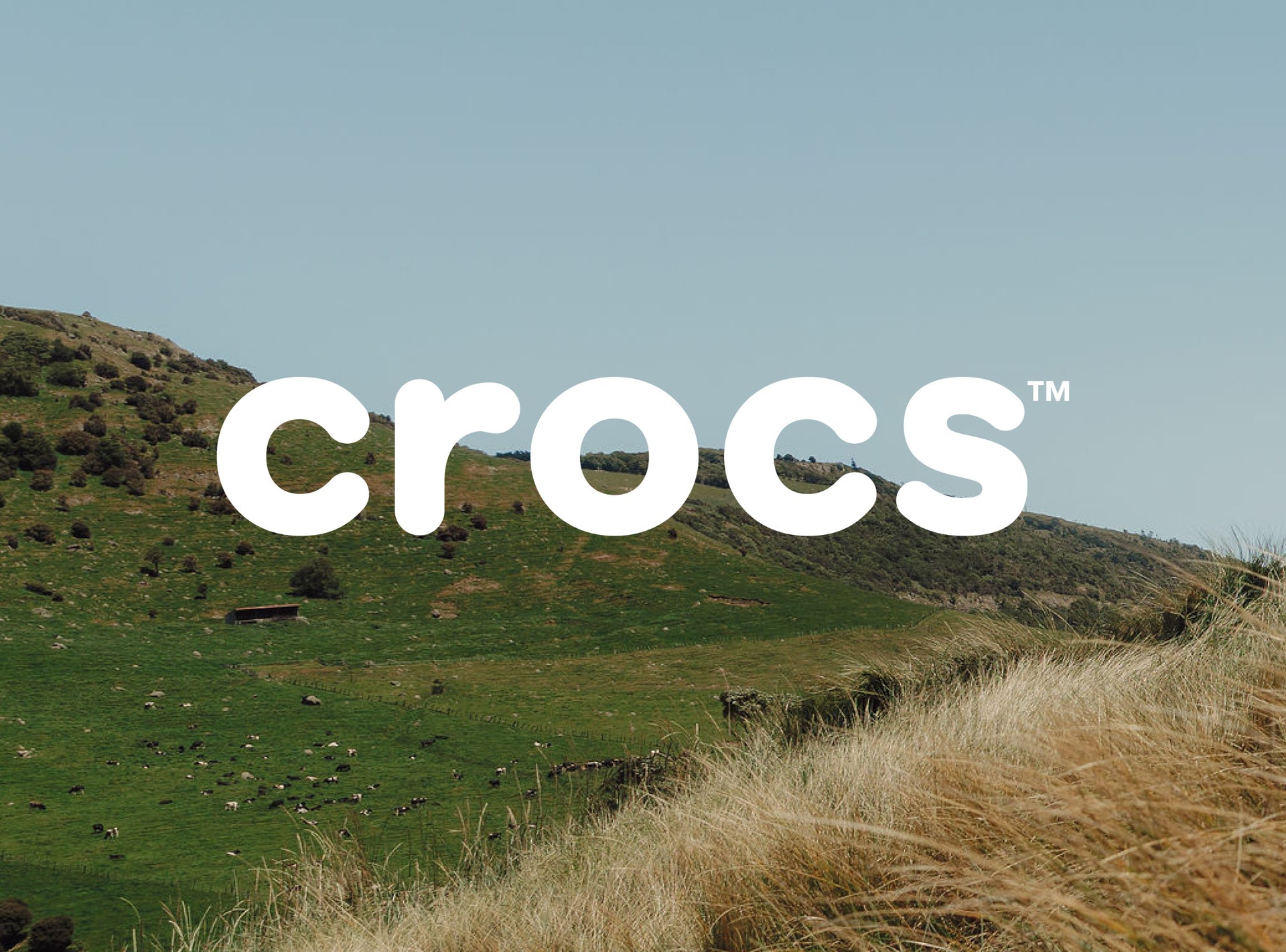 SS-APD-IGS-Buttons5-13